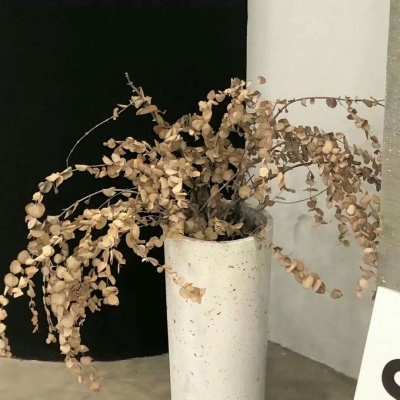 兽设拟人化设计实用技巧FurryQQ群